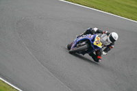 anglesey;brands-hatch;cadwell-park;croft;donington-park;enduro-digital-images;event-digital-images;eventdigitalimages;mallory;no-limits;oulton-park;peter-wileman-photography;racing-digital-images;silverstone;snetterton;trackday-digital-images;trackday-photos;vmcc-banbury-run;welsh-2-day-enduro